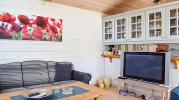 TV, fireplace, DVD player