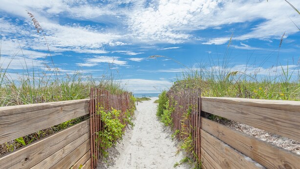 A sandy pathway flanked by wooden fences and vegetation, leading towards a beach. - Highly rated Condo in Ocean Front Community, Wheelchair accessible, Dog friendly (St Augustine Beach)