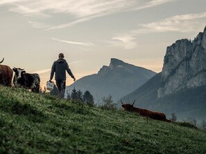 Miscellaneous - Wheelchair-accessible garden suite with terrace - Landgasthof Hotel Aichingerwirt *** superior (Keuschen)