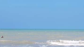 Plage à proximité