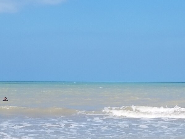 Beach nearby - Beautiful Vacation Home Indigo Palomino (Dibulla)