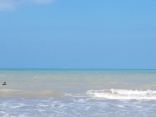 Beautiful Vacation Home Indigo Palomino