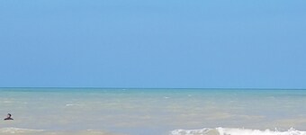 Beautiful Vacation Home Indigo Palomino