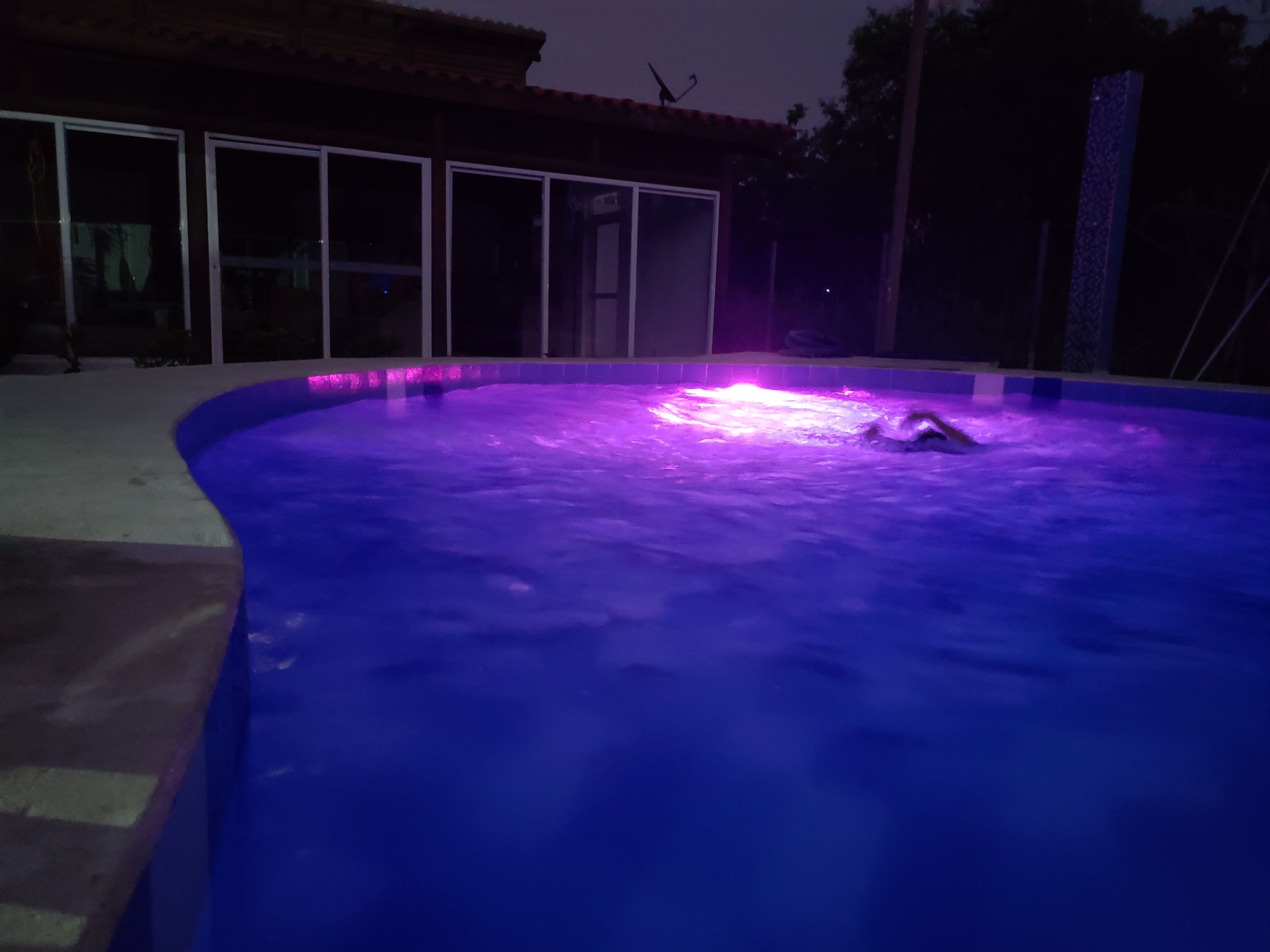 A swimming pool with a person in the water, surrounded by a house with large windows and a tiled roof.
