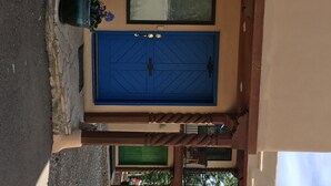 Una puerta azul con un diseño geométrico, una ventana verde y una maceta con flores moradas.