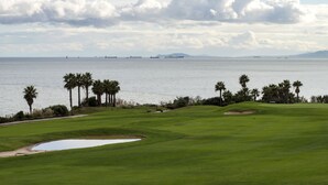 Ein Golfplatz mit einem Wasserabschnitt und Palmen im Hintergrund.