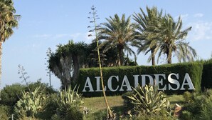 Ein Schild mit der Aufschrift 'ALCAIDESA', umgeben von tropischen Pflanzen und Palmen.