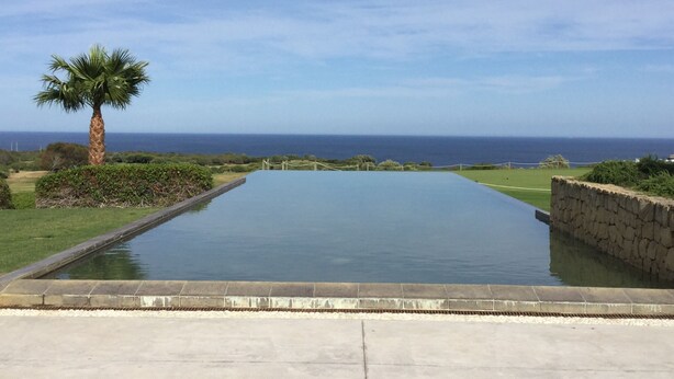 Ein rechteckiger Infinity-Pool mit einer Steinmauer an einer Seite und einer Palme an der anderen.