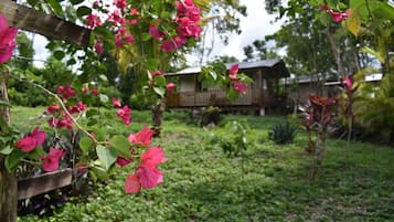 Cabane Familiale | Vue sur le jardin