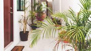 A hallway with potted plants and a wooden door. - Great Villas Studios & Residences - The Kahlo (Playa del Carmen)