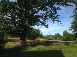 Imagen sin descripción, 2 de 13, botón