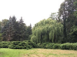 Image sans description, 3 de 9, bouton