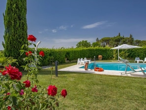 A swimming pool with lounge chairs and umbrellas, surrounded by well-maintained grass and hedges. - Aurelia by Interhome (Castelfiorentino)