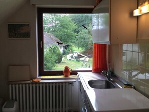 Fridge, oven, coffee/tea maker, electric kettle