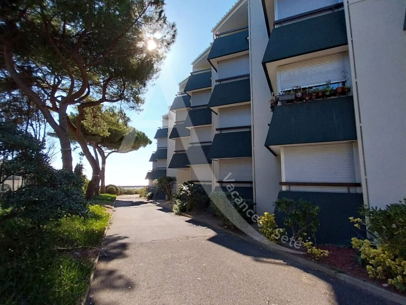 Une rangée d’immeubles modernes à plusieurs étages, dotés de balcons, avec un chemin pavé et de la verdure.