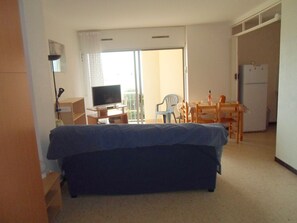 TV - Apartment near the Baths, pets allowed (Balaruc-les-Bains)