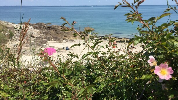 A beach with rocky terrain and a clear view of the sea. - "Secrets of Petit Rohu" - 2ch, garden & beach (Saint-Pierre-Quiberon)