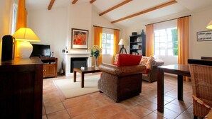 A cozy living room with a fireplace, a sofa, a television, and a bookshelf. - Villa in France with Pool and Private Garden (Vasles)
