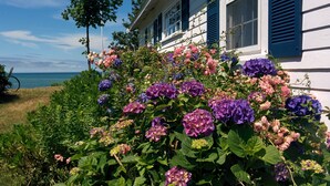 En hvid bygning med blå persienner, omgivet af blomstrende blomster og kig til havet.