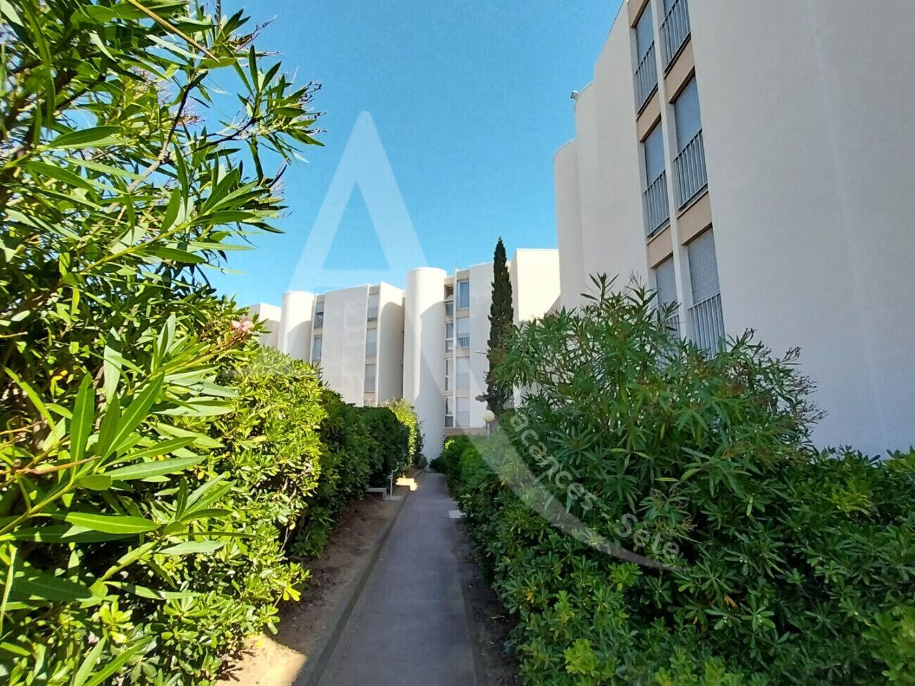 A pathway flanked by greenery and modern buildings.