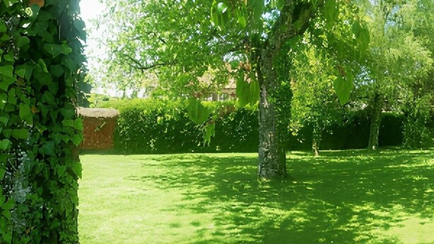 A pathway through a lush garden with trees and a building in the background. - Homerez - House in Reignier-Esery (Reignier-Esery)