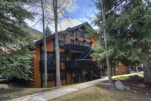 Exterior - Cozy, Creekside 3BR Vail Condo Ski/Summer Retreat Perfect for Families (Vail)