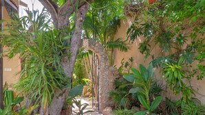 A narrow stone pathway flanked by lush tropical plants and a rustic stone wall. - Casa Sur, Hacienda Living in Merida Centro (Mérida)