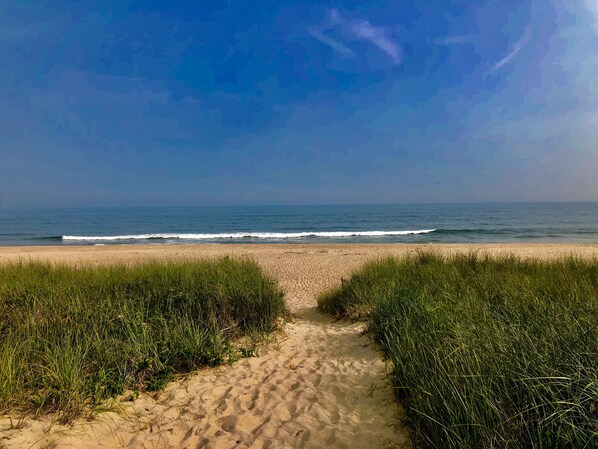 Ligstoelen aan het strand, strandlakens