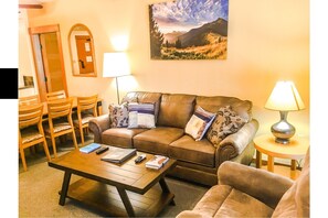 Smart TV, fireplace, Netflix, books