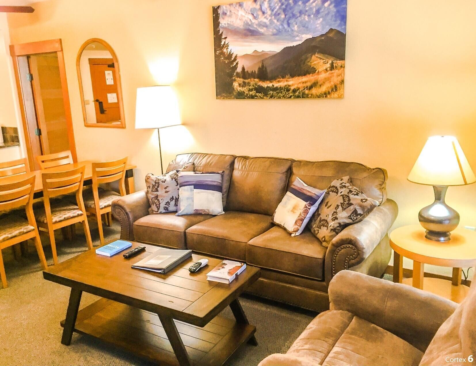 Smart TV, fireplace, Netflix, books