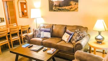 Smart TV, fireplace, Netflix, books