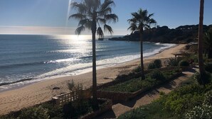 A beach with palm trees, a clear sky, and the ocean. - Vila Balaia - Luxury Boutique Villas (Albufeira)