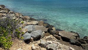 A clear view of a beach with turquoise water, rocky shoreline, and palm trees. - Casa de Pauline - Noord (Noord)