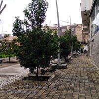 Detalle del exterior