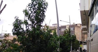 Hotel Los Balsos