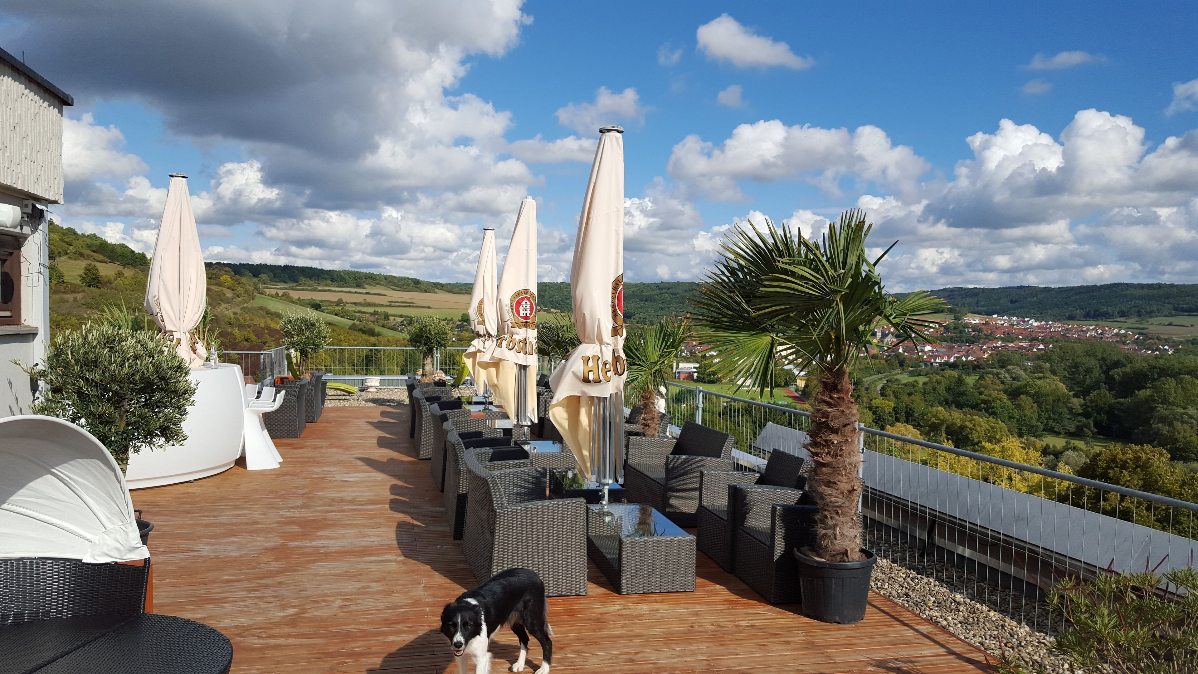A rooftop terrace with outdoor seating, umbrellas, and a view of the countryside.