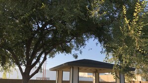 Un área de estar al aire libre y cubierta, con una estructura de concreto, rodeada de árboles y un muro de ladrillo.