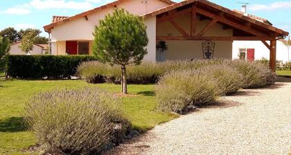 Luxury Villa in France with Pool