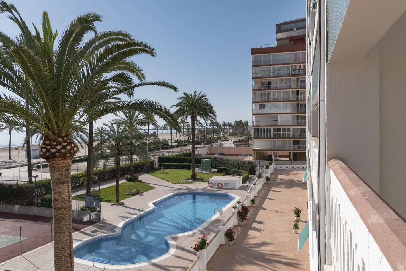 A swimming pool with a palm tree, surrounded by a well-maintained lawn and a multi-story building in the background.