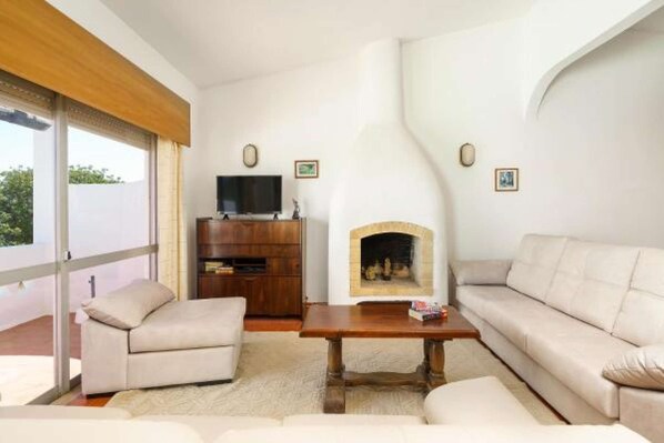 Televisión, chimenea y libros 