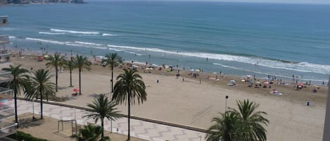 Vista de una playa con piscina y palmeras.