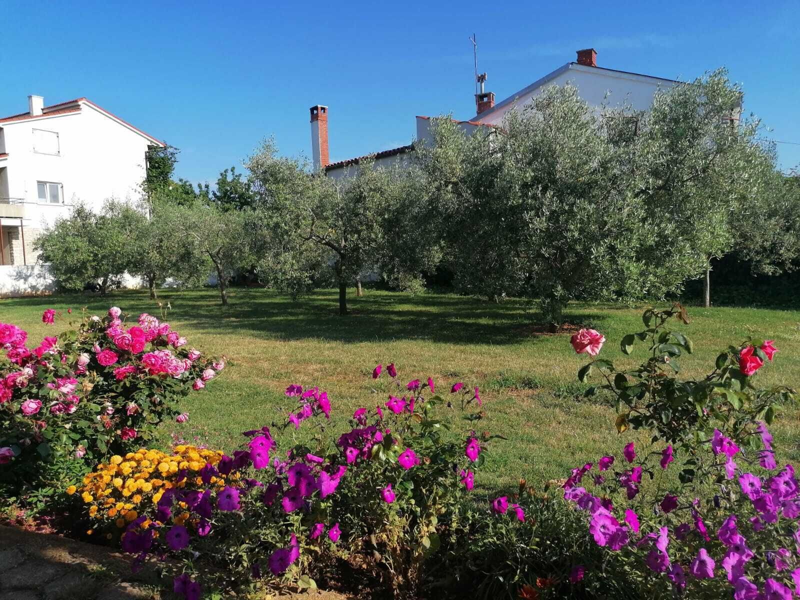 A residential area with a white building, a chimney, and a garden with pink and yellow flowers.