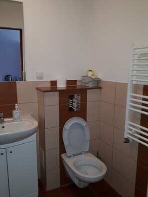 Shower, hydromassage showerhead, towels, soap
