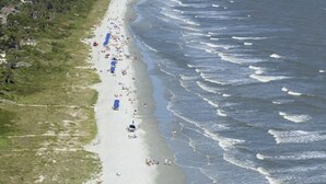 An aerial view of a beach with a long stretch of sand, waves, and a line of trees. - Island Song Villa - Newly Renovated, Pool, Tennis & Pickleball, Prime Location (Hilton Head Island,)