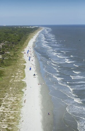 Playa en los alrededores y camastros 