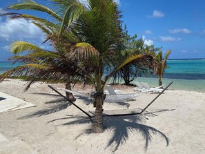 Uma praia com palmeiras, águas azuis cristalinas e cadeiras de espreguiçadeira brancas.