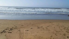 Sun-loungers, beach towels