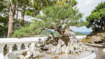 Chi tiết nội thất