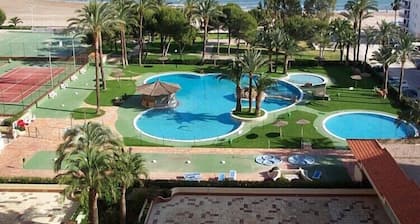 FLORAZAR 2, VIII-8-B