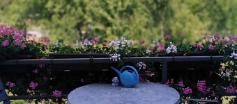 Guest House First Stop